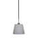 Rosecliff Heights Glenam Paramount Stem Hung Pendant With 10" Glass